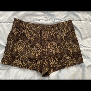 Black/Gold Lace Shorts